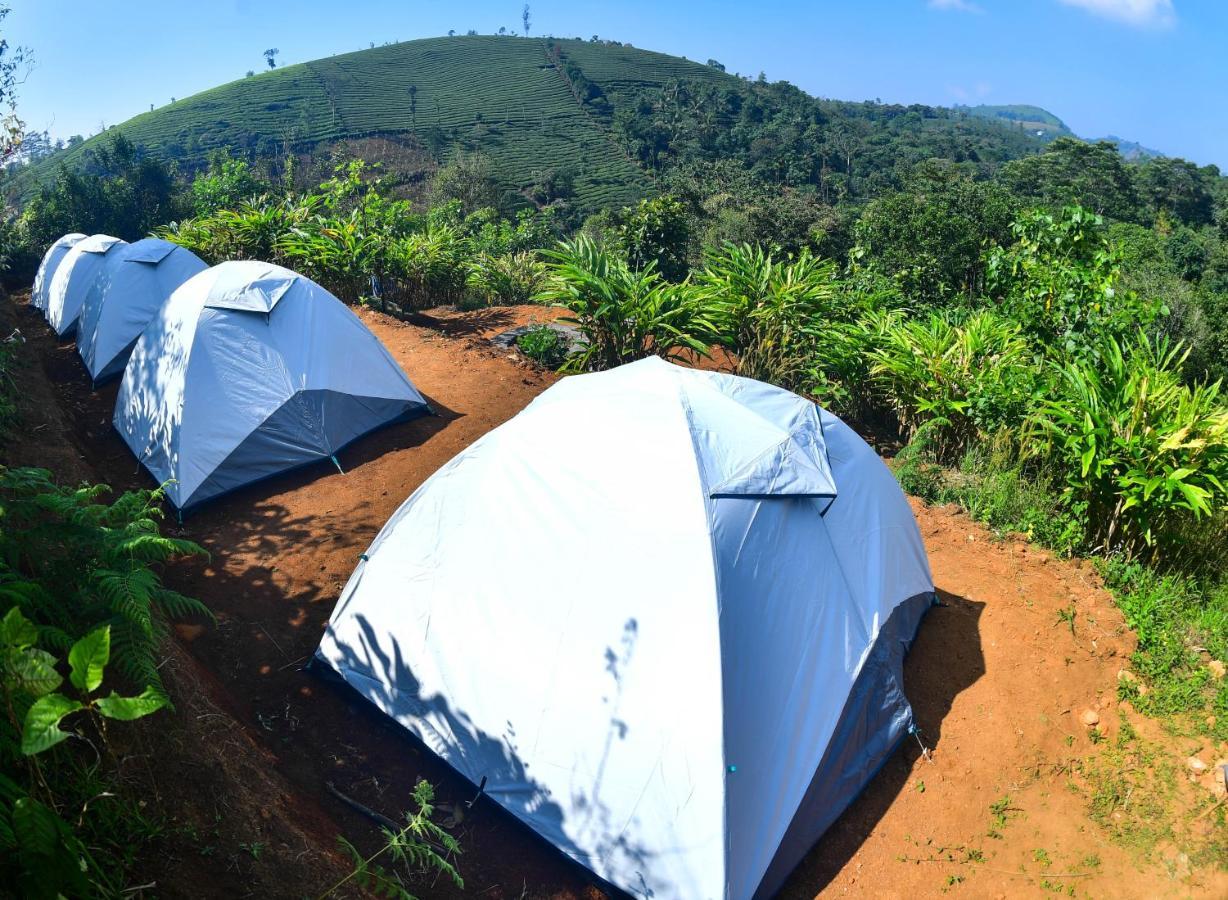 Tent Life Luxury tent *
