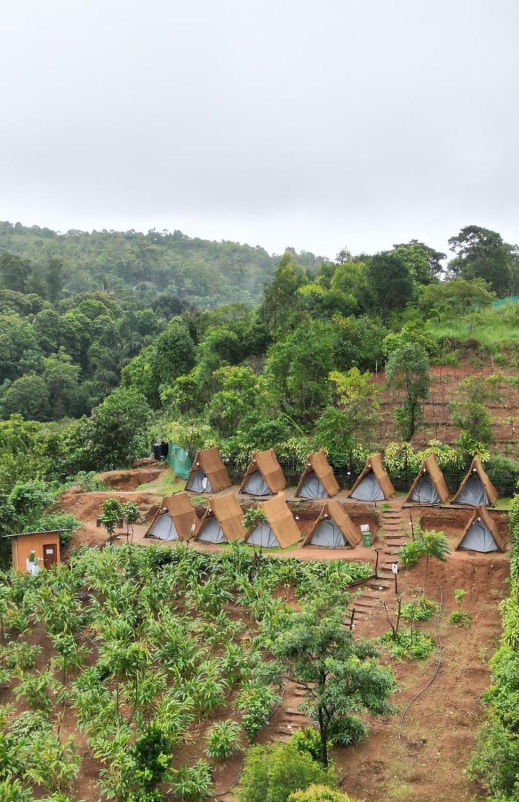 Luxury tent Tent Life Vagamon